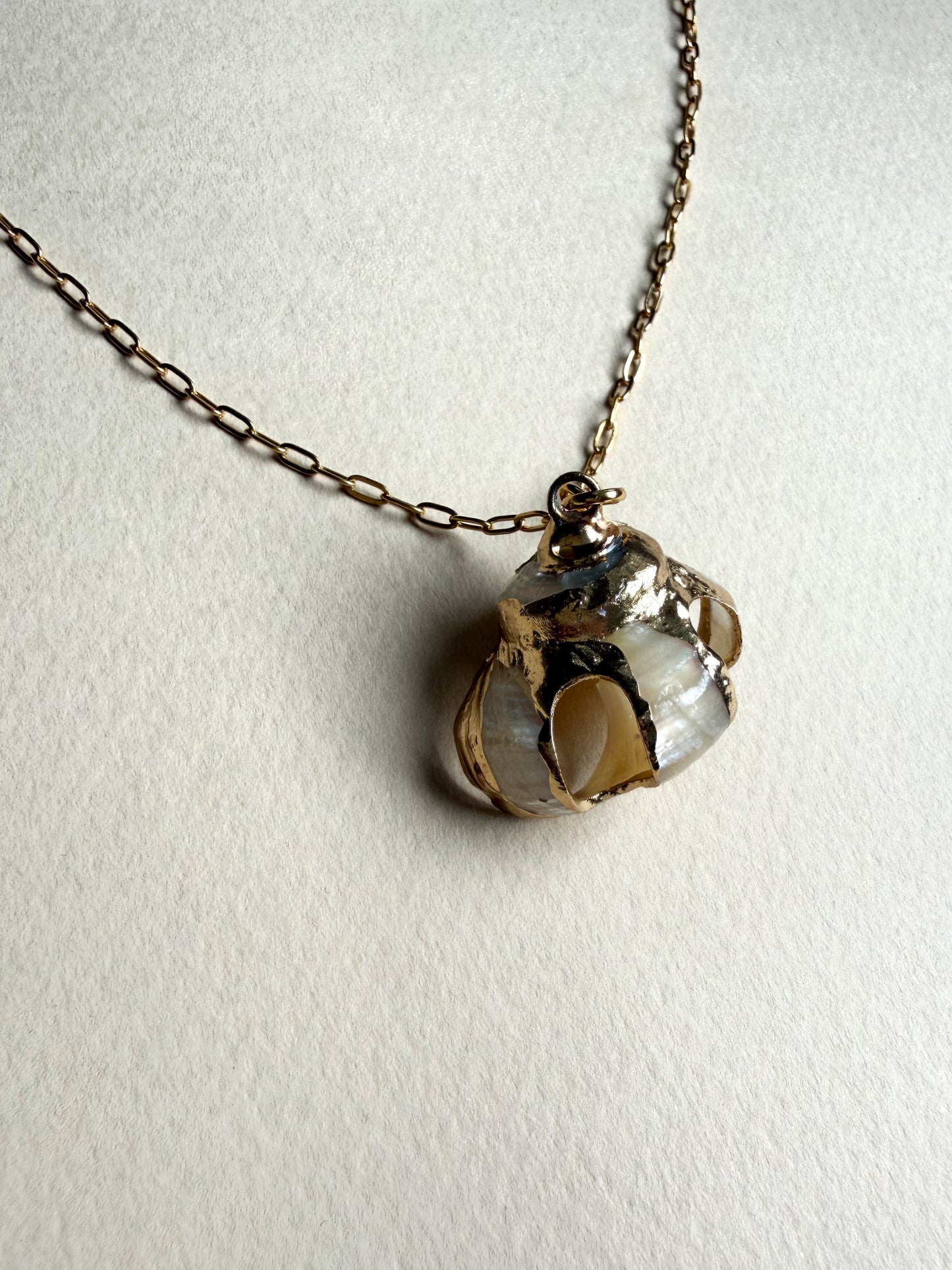 Collier pendentif coquillage