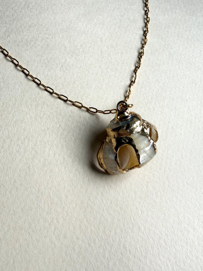 Collier pendentif coquillage