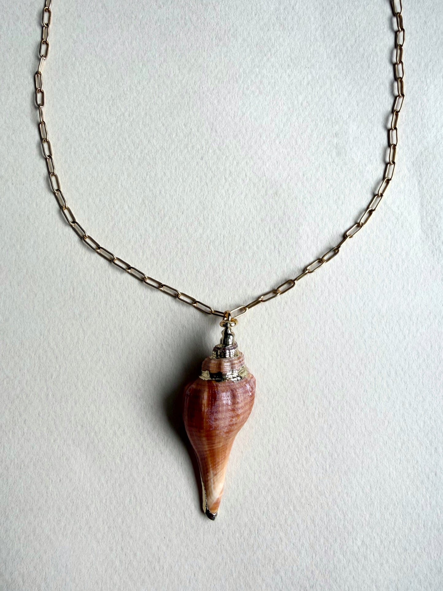 Collier pendentif coquillage