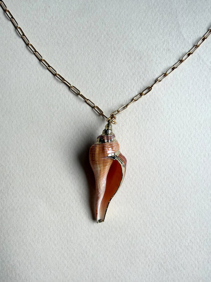 Collier pendentif coquillage