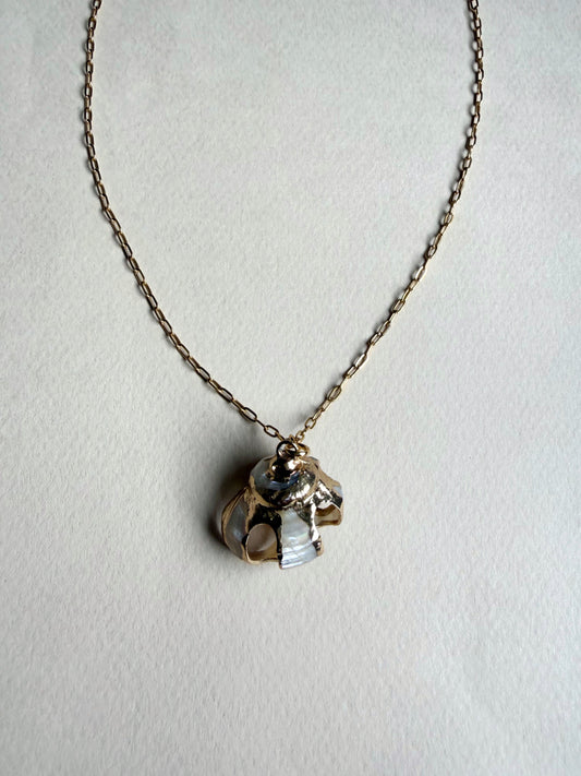 Collier pendentif coquillage
