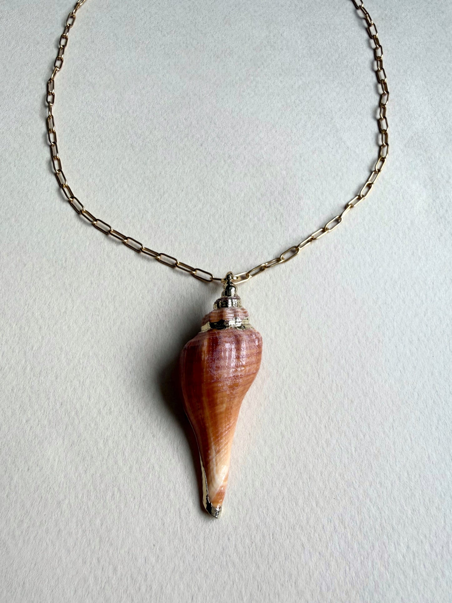 Collier pendentif coquillage